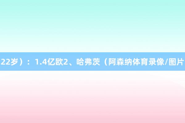 22岁）：1.4亿欧2、哈弗茨（阿森纳体育录像/图片
