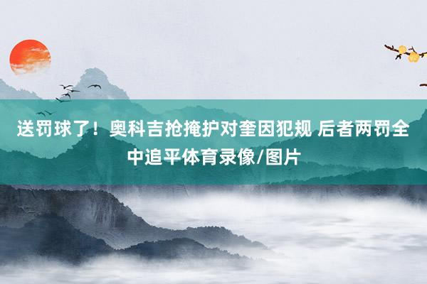 送罚球了！奥科吉抢掩护对奎因犯规 后者两罚全中追平体育录像/图片