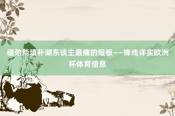 碰劲能填补湖东谈主最痛的短板——锋线详实欧洲杯体育信息