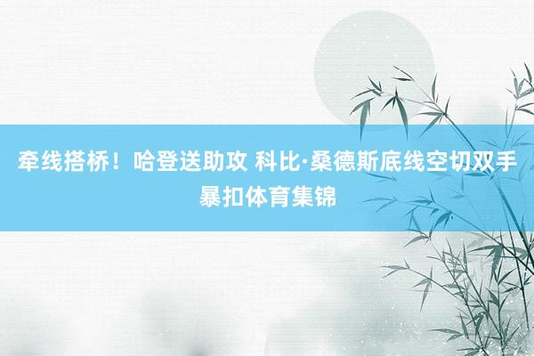 牵线搭桥！哈登送助攻 科比·桑德斯底线空切双手暴扣体育集锦