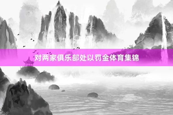 对两家俱乐部处以罚金体育集锦