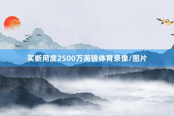 买断用度2500万英镑体育录像/图片