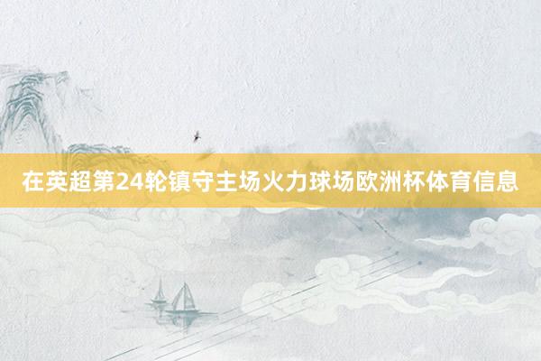 在英超第24轮镇守主场火力球场欧洲杯体育信息
