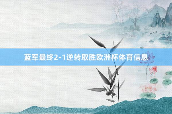 蓝军最终2-1逆转取胜欧洲杯体育信息