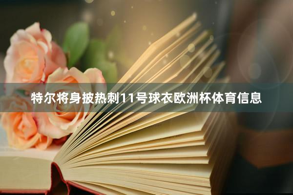 特尔将身披热刺11号球衣欧洲杯体育信息