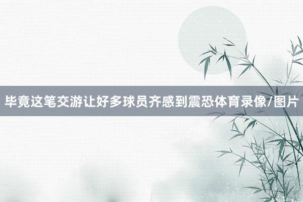 毕竟这笔交游让好多球员齐感到震恐体育录像/图片
