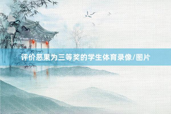 评价恶果为三等奖的学生体育录像/图片