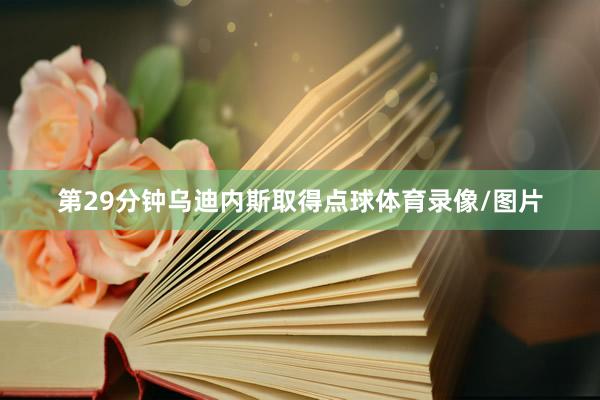 第29分钟乌迪内斯取得点球体育录像/图片