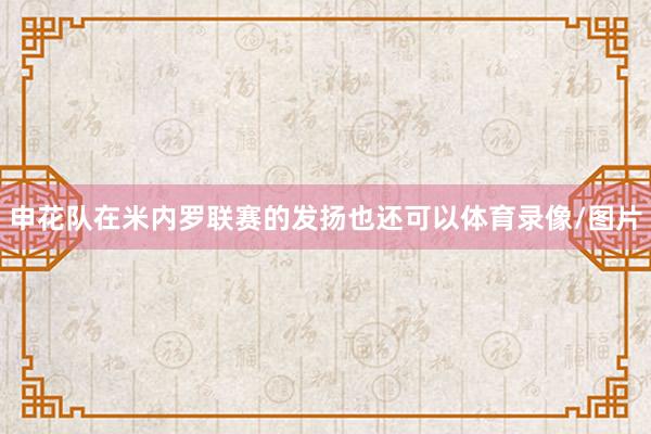 申花队在米内罗联赛的发扬也还可以体育录像/图片