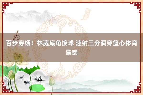 百步穿杨！林葳底角接球 速射三分洞穿篮心体育集锦