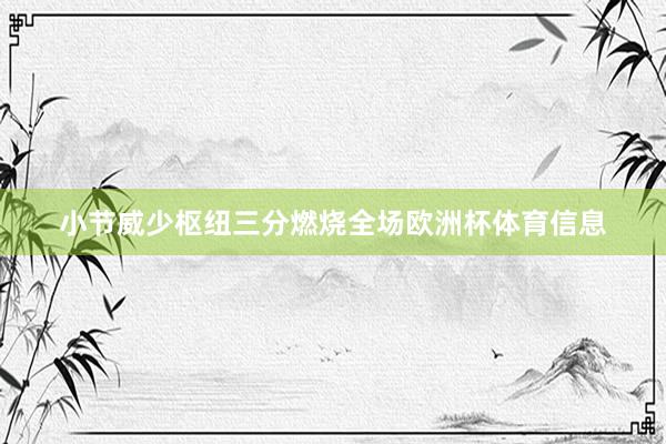 小节威少枢纽三分燃烧全场欧洲杯体育信息