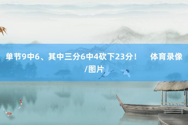单节9中6、其中三分6中4砍下23分！    体育录像/图片
