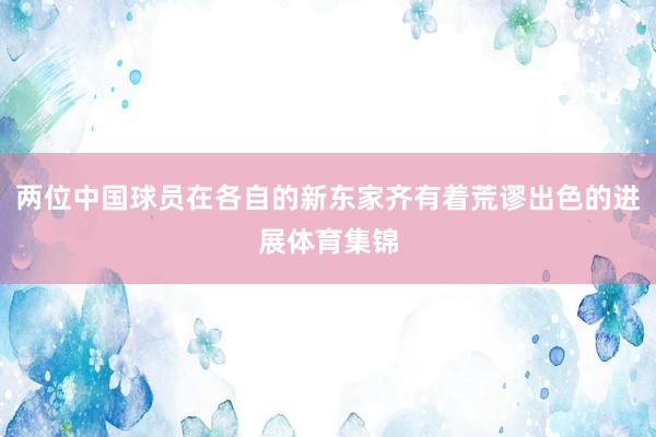 两位中国球员在各自的新东家齐有着荒谬出色的进展体育集锦
