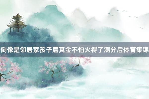 倒像是邻居家孩子磨真金不怕火得了满分后体育集锦