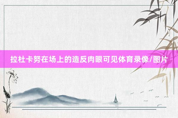 拉杜卡努在场上的造反肉眼可见体育录像/图片