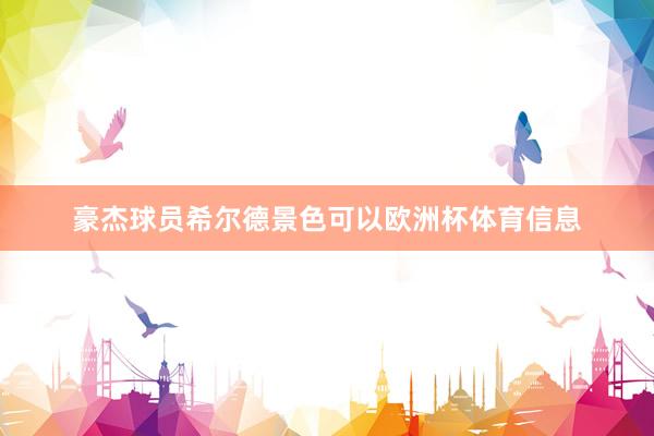 豪杰球员希尔德景色可以欧洲杯体育信息