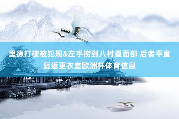 里德打破被犯规&左手捞到八村塁面部 后者平直复返更衣室欧洲杯体育信息