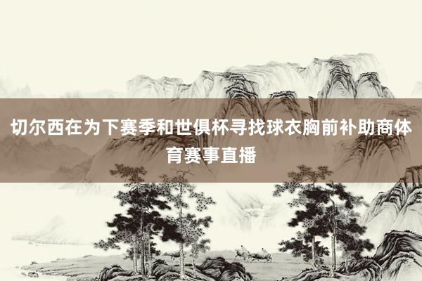切尔西在为下赛季和世俱杯寻找球衣胸前补助商体育赛事直播