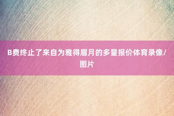 B费终止了来自为雅得眉月的多量报价体育录像/图片