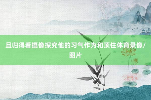 且归得看摄像探究他的习气作为和顶住体育录像/图片