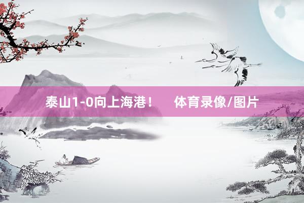 泰山1-0向上海港！    体育录像/图片