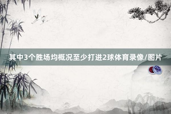 其中3个胜场均概况至少打进2球体育录像/图片