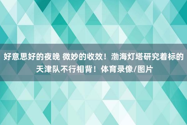好意思好的夜晚 微妙的收效！渤海灯塔研究着标的 天津队不行相背！体育录像/图片