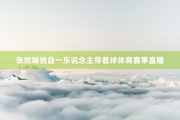 张效瑞独自一东说念主带着球体育赛事直播