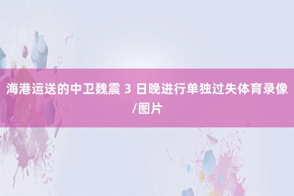 海港运送的中卫魏震 3 日晚进行单独过失体育录像/图片