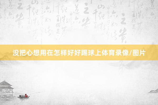 没把心想用在怎样好好踢球上体育录像/图片