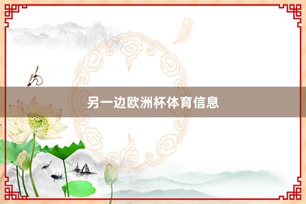 另一边欧洲杯体育信息
