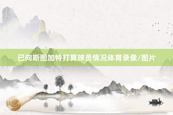已向斯图加特打算球员情况体育录像/图片
