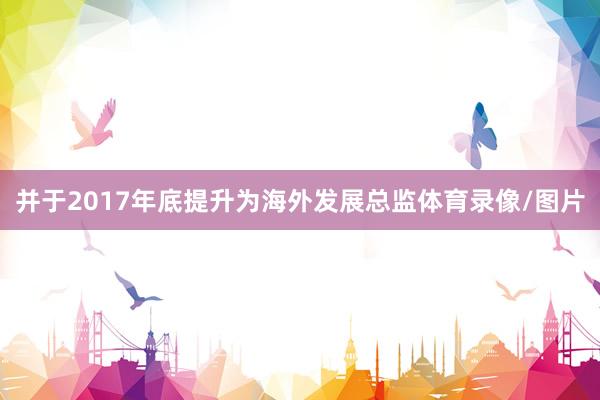 并于2017年底提升为海外发展总监体育录像/图片