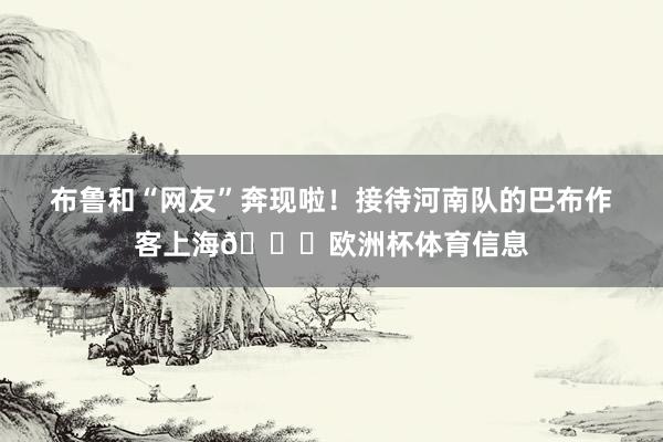 布鲁和“网友”奔现啦！接待河南队的巴布作客上海👏欧洲杯体育信息