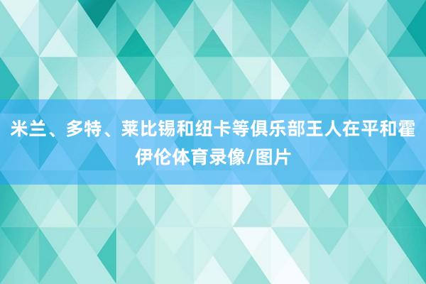 米兰、多特、莱比锡和纽卡等俱乐部王人在平和霍伊伦体育录像/图片