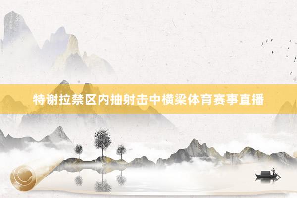 特谢拉禁区内抽射击中横梁体育赛事直播