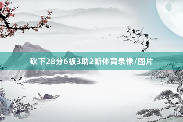 砍下28分6板3助2断体育录像/图片