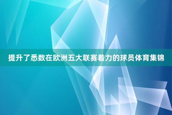 提升了悉数在欧洲五大联赛着力的球员体育集锦
