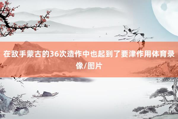 在敌手蒙古的36次造作中也起到了要津作用体育录像/图片
