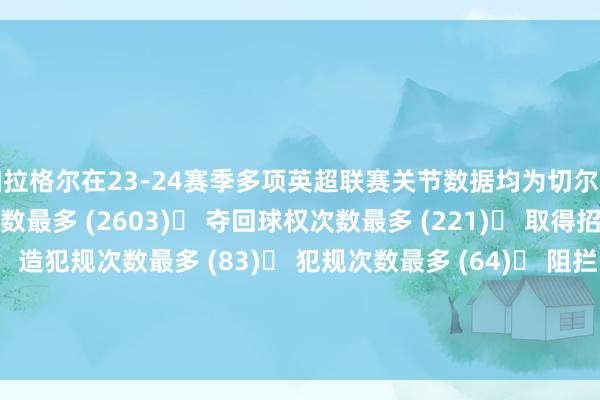 加拉格尔在23-24赛季多项英超联赛关节数据均为切尔西队内前线：◉ 触球次数最多 (2603)◉ 夺回球权次数最多 (221)◉ 取得招架次数最多 (212)◉ 造犯规次数最多 (83)◉ 犯规次数最多 (64)◉ 阻拦次数最多 (43)◎ 创造契机次数第二多 (53)◎ 创造绝佳契机次数第二多 (11)◎ 助攻次数第二多 (7)    体育集锦