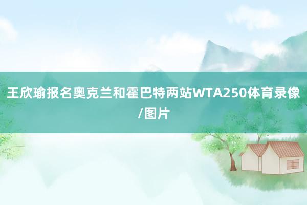 王欣瑜报名奥克兰和霍巴特两站WTA250体育录像/图片