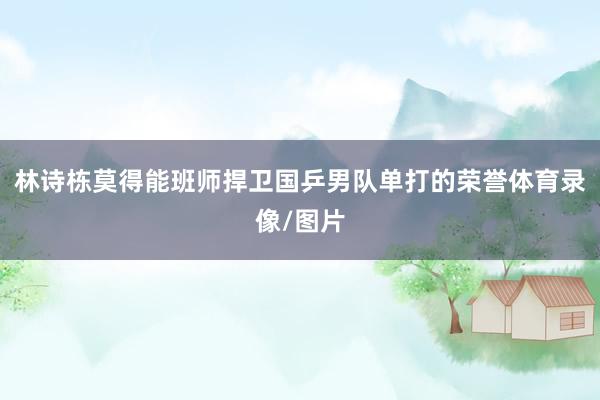 林诗栋莫得能班师捍卫国乒男队单打的荣誉体育录像/图片