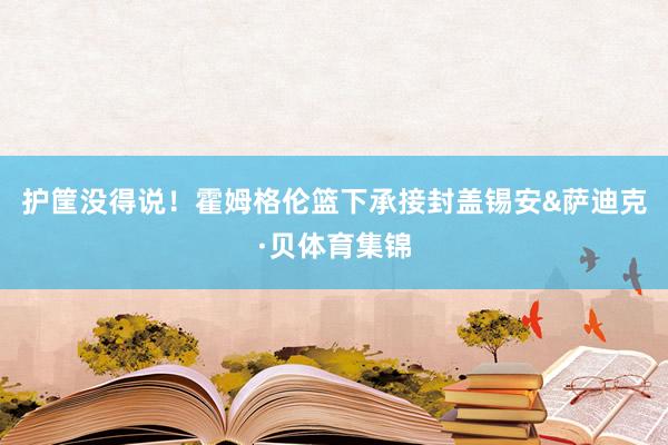 护筐没得说！霍姆格伦篮下承接封盖锡安&萨迪克·贝体育集锦