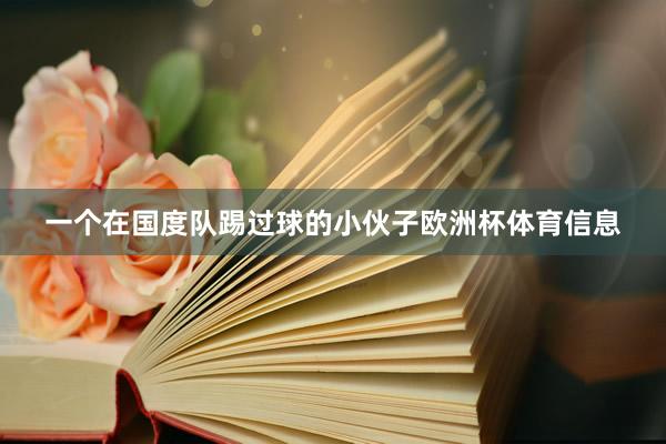 一个在国度队踢过球的小伙子欧洲杯体育信息