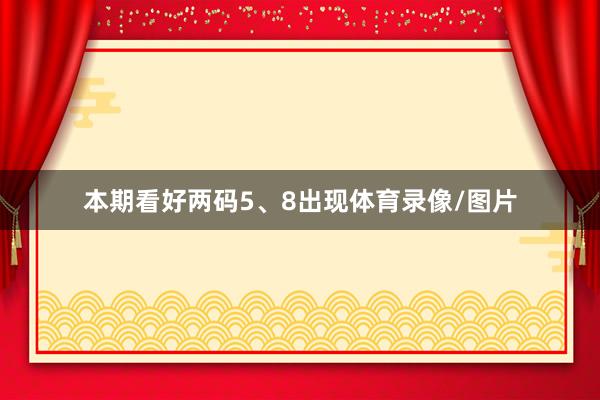 本期看好两码5、8出现体育录像/图片