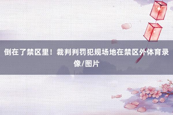 倒在了禁区里！裁判判罚犯规场地在禁区外体育录像/图片