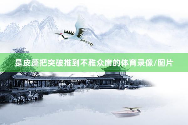 是皮蓬把突破推到不雅众席的体育录像/图片