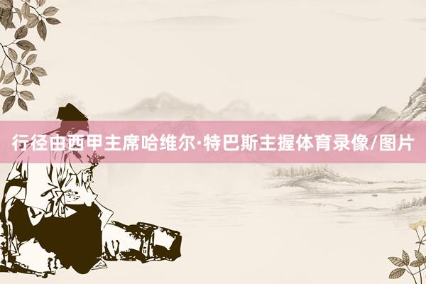 行径由西甲主席哈维尔·特巴斯主握体育录像/图片