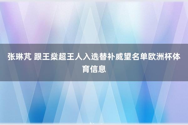 张琳芃 跟王燊超王人入选替补威望名单欧洲杯体育信息
