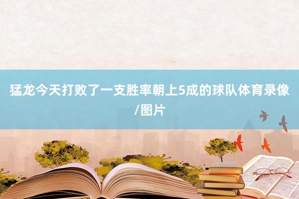 猛龙今天打败了一支胜率朝上5成的球队体育录像/图片